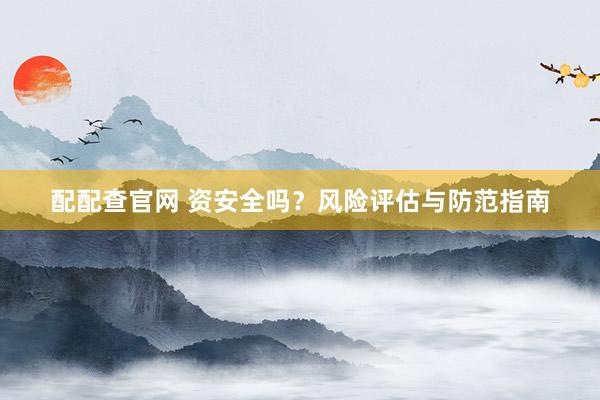 配配查官网 资安全吗？风险评估与防范指南