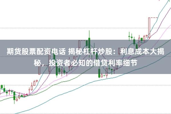 期货股票配资电话 揭秘杠杆炒股：利息成本大揭秘，投资者必知的借贷利率细节