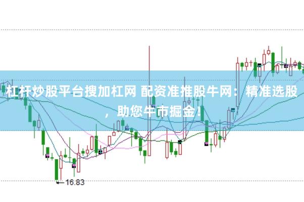 杠杆炒股平台搜加杠网 配资准推股牛网：精准选股，助您牛市掘金！