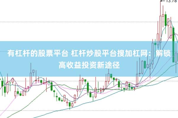 有杠杆的股票平台 杠杆炒股平台搜加杠网：解锁高收益投资新途径