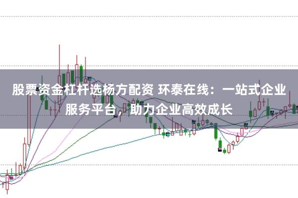 股票资金杠杆选杨方配资 环泰在线：一站式企业服务平台，助力企业高效成长