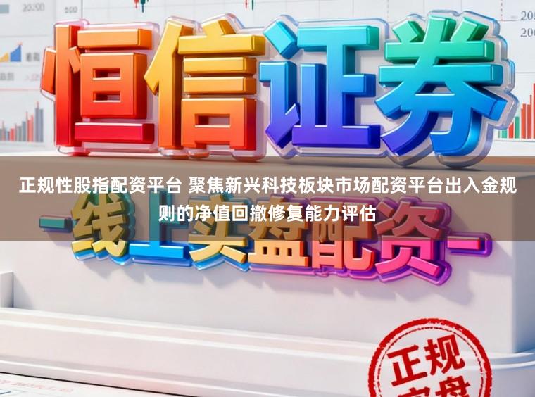 正规性股指配资平台 聚焦新兴科技板块市场配资平台出入金规则的净值回撤修复能力评估