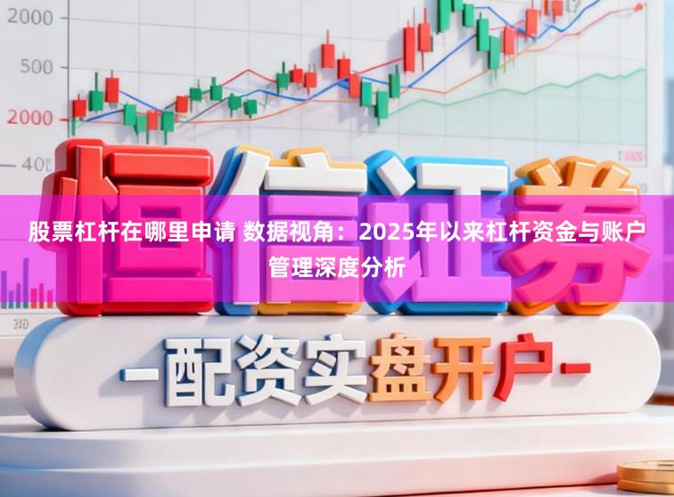 股票杠杆在哪里申请 数据视角：2025年以来杠杆资金与账户管理深度分析